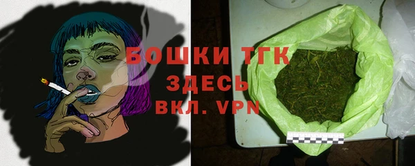 тгк Бронницы
