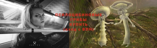 шишки Бугульма